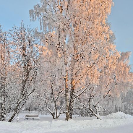 Ferienwohnung Tilava Uudistettu Perheasunto Rovaniemi Exterior foto
