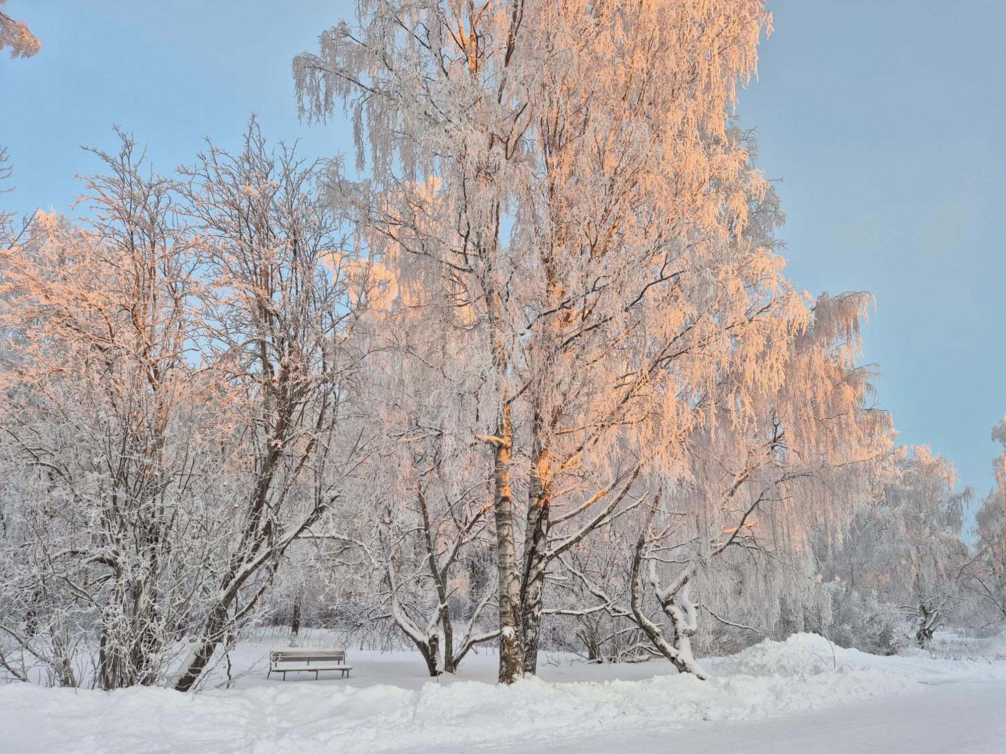 Ferienwohnung Tilava Uudistettu Perheasunto Rovaniemi Exterior foto